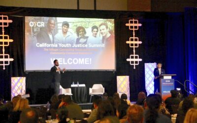Voices of Youth Justice: It Takes a Village